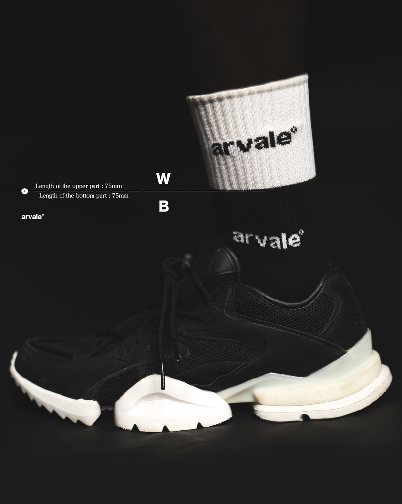 W.H.B.L SYSTEM SOCKS